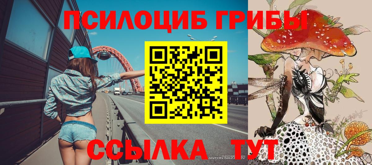 Галлюциногенные грибы Psilocybine cubensis  Вход с VPN  Вязники  Галлюциногенные грибы Cubensis 