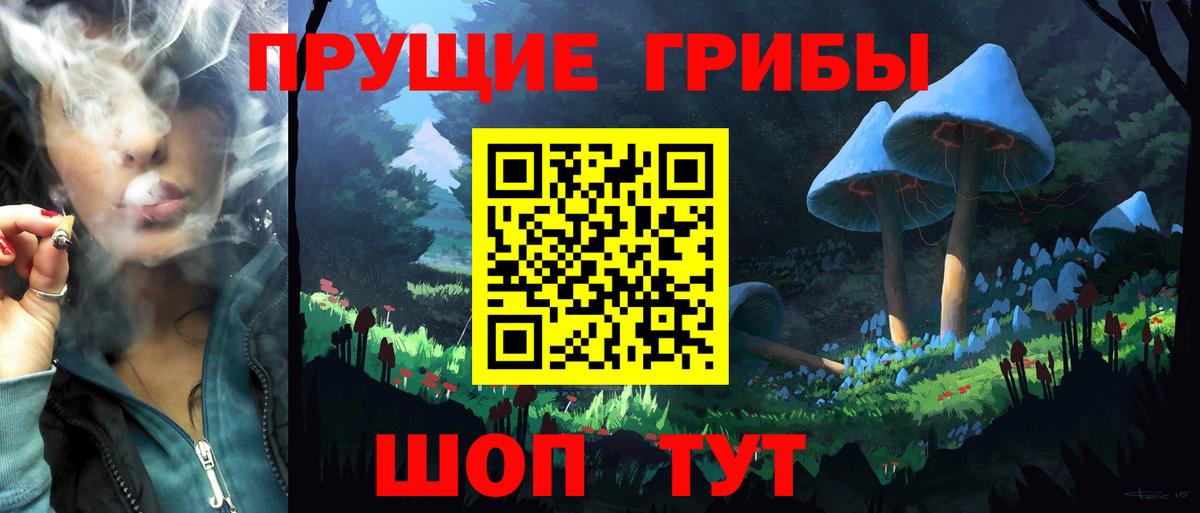 Галлюциногенные грибы прущие грибы Вязники